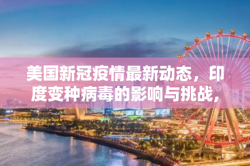美国新冠疫情最新动态，印度变种病毒的影响与挑战,美新冠疫情最新消息印度