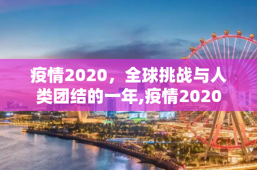 疫情2020，全球挑战与人类团结的一年,疫情2020
