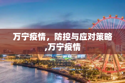 万宁疫情，防控与应对策略,万宁疫情