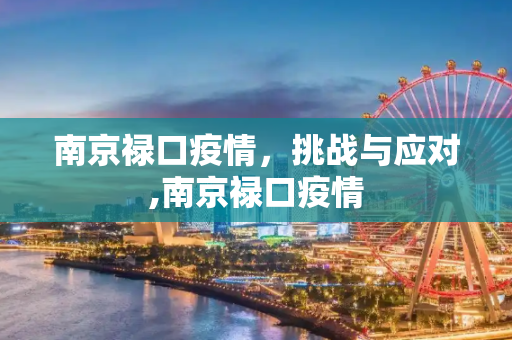 南京禄口疫情，挑战与应对,南京禄口疫情