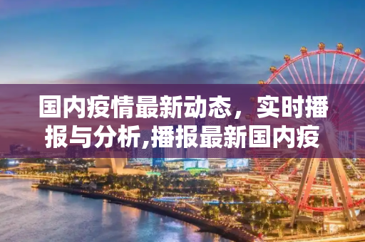 国内疫情最新动态，实时播报与分析,播报最新国内疫情:播报国内最新疫情情况
